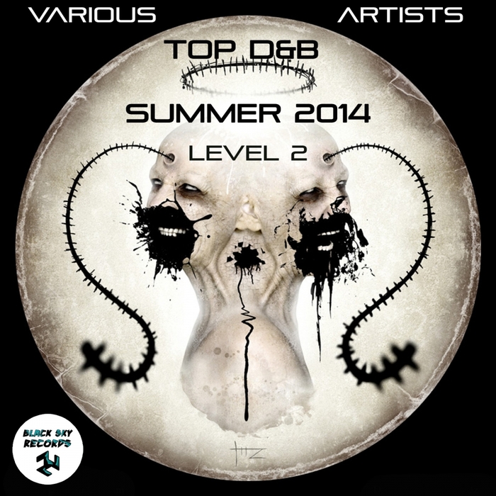 VARIOUS - Top D&B Summer 2014 Level 2