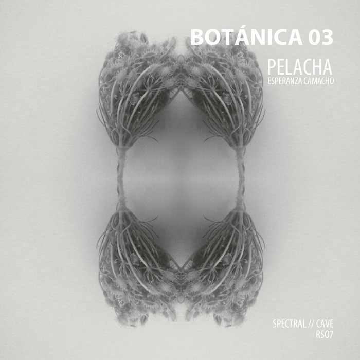 PELACHA - Botanica 03