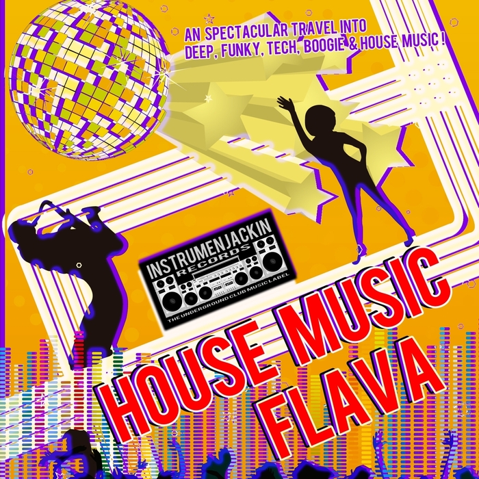 VARIOUS - House Music Flava