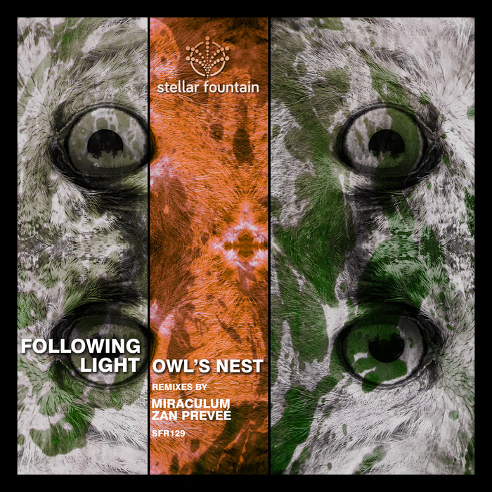 FOLLOWING LIGHT - Owls Nest