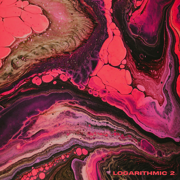 VARIOUS - Bassi Presents: Logarithmic, Vol  2 (Explicit)