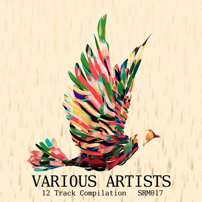 VARIOUS - Various Artists Compilation