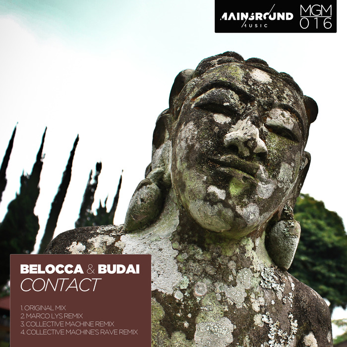 BELOCCA & BUDAI - Contact