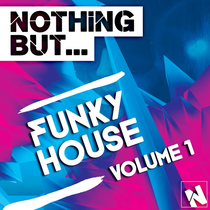 VARIOUS - Nothing But Funky House Vol 1