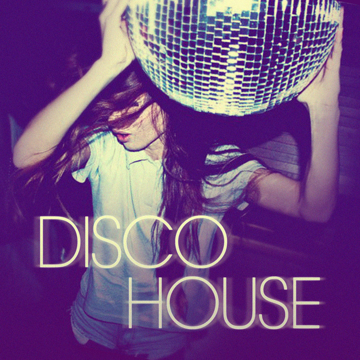VARIOUS - Disco House