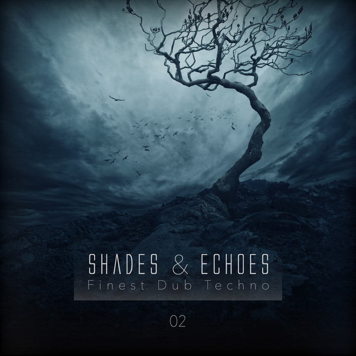 VARIOUS - Shades & Echoes: Finest Dub Techno Vol  2