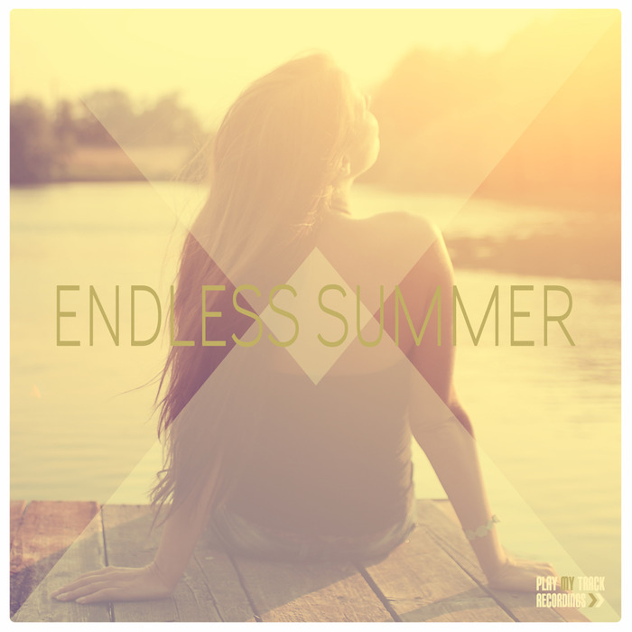 VARIOUS - Endless Summer