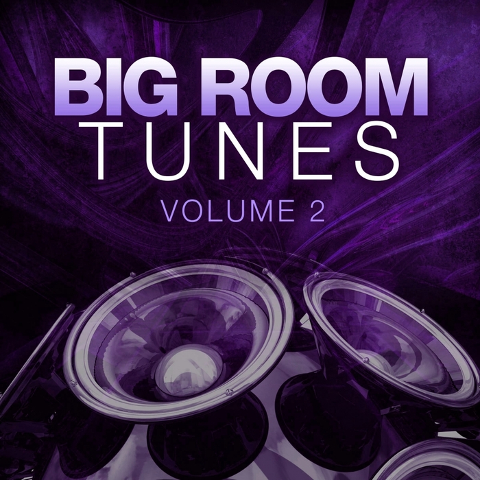 VARIOUS - Big Room Tunes 02