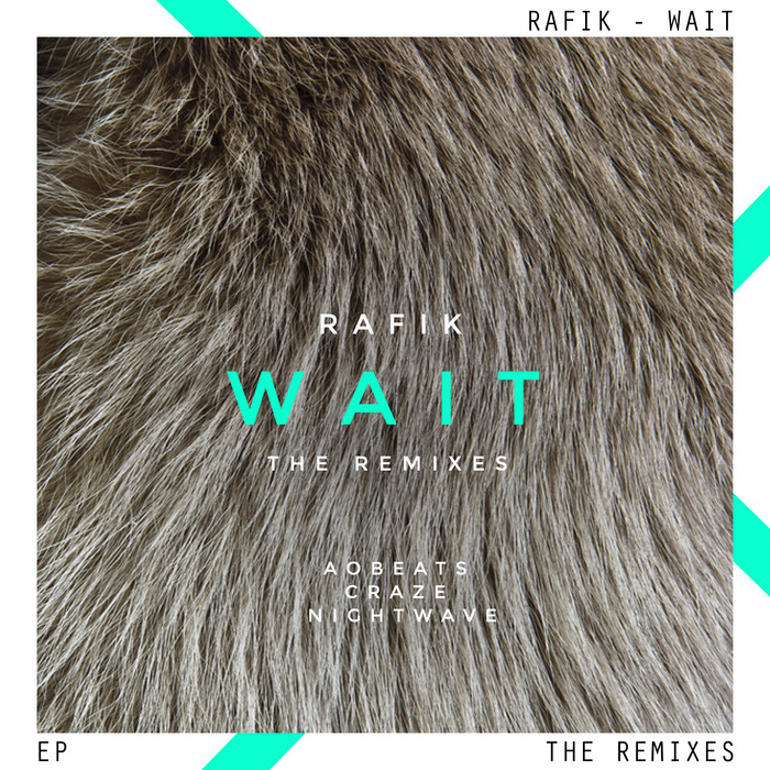 RAFIK - Wait EP (remixes)