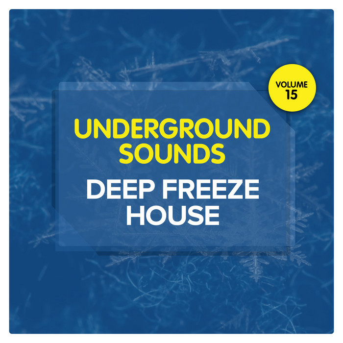 VARIOUS - Deep Freeze House Underground Sounds Vol 15