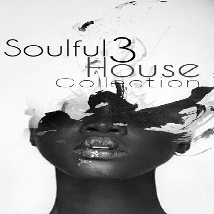 VARIOUS - Soulful House Collection Vol 3