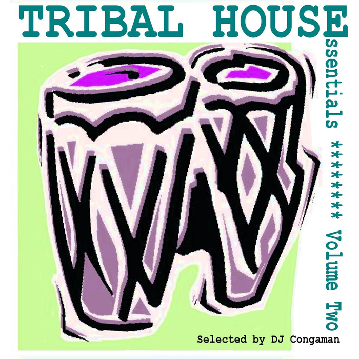 VARIOUS - Tribal House Essentials Vol 2