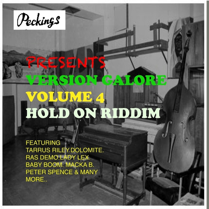 VARIOUS - Peckings Presents: Version Galore Hold On Riddim Vol 4