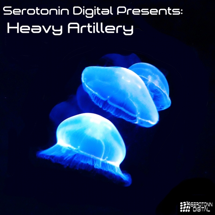 VARIOUS - Serotonin Digital Presents: Heavy Artillery