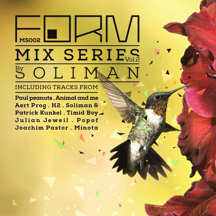SOLIMAN/VARIOUS - Form Mix Series Vol 2