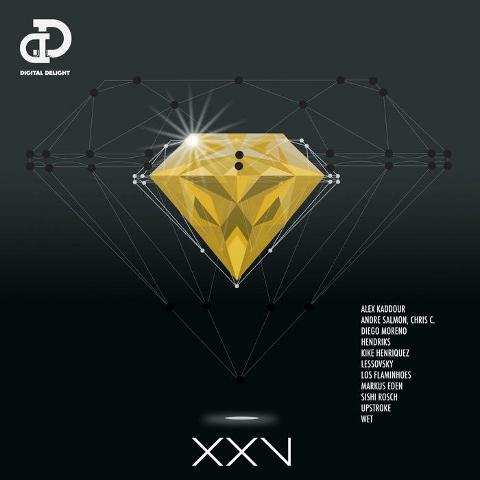 VARIOUS - Digital Delight Presents XXV