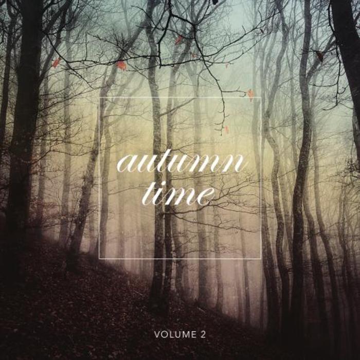 VARIOUS - Autumn Time Vol 2