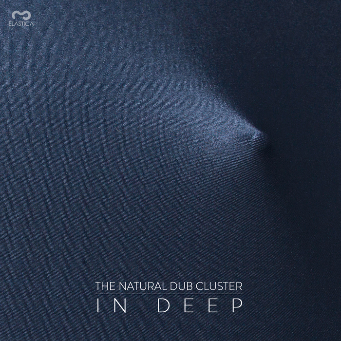 NATURAL DUB CLUSTER, The - In Deep