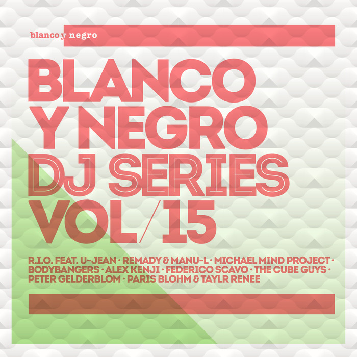 VARIOUS - Blanco Y Negro DJ Series Vol 15