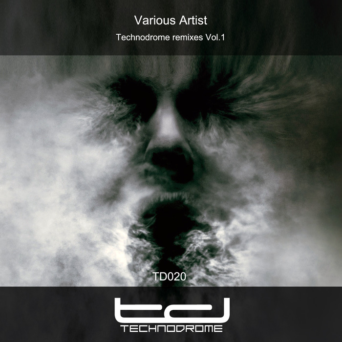VARIOUS - Technodrome Remixes Vol 1