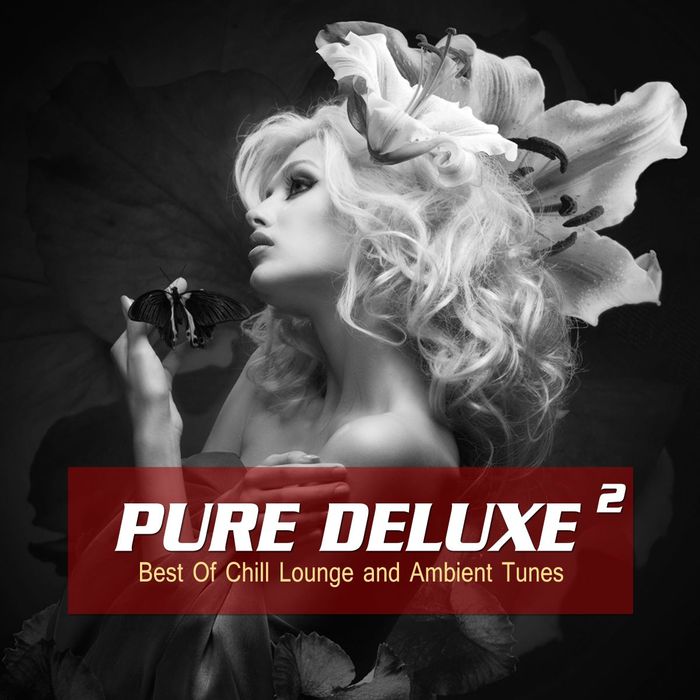 VARIOUS - Pure Deluxe Vol 2 (Best Of Chill Lounge And Ambient Tunes)