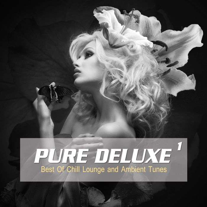 VARIOUS - Pure Deluxe Vol 1 (Best Of Chill Lounge And Ambient Tunes)