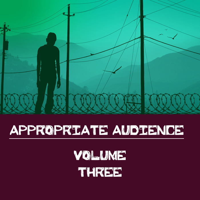 VARIOUS - Appropriate Audience Vol 3