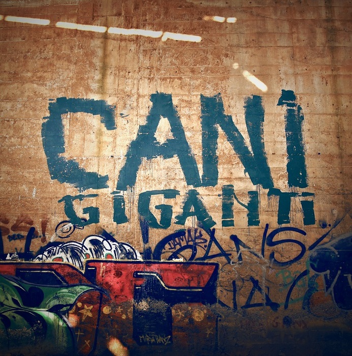 CANI GIGANTI - Brain Confusion