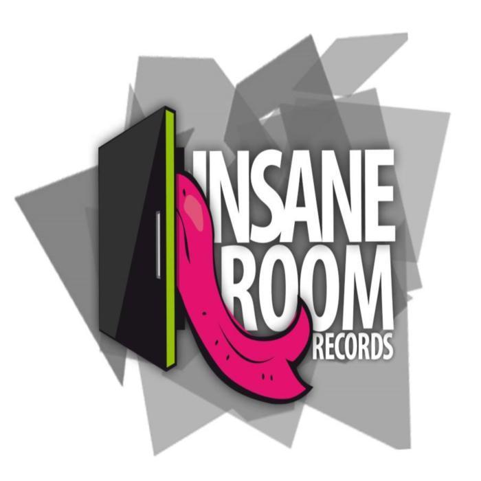 VARIOUS - Insane Room Vol 9
