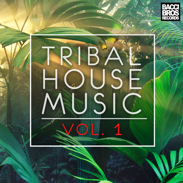 VARIOUS - Tribal House Music Vol 1