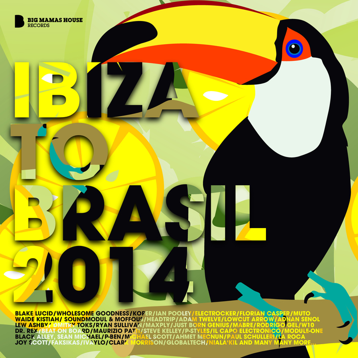 VARIOUS - Ibiza To Brasil 2014 (Deluxe Version)
