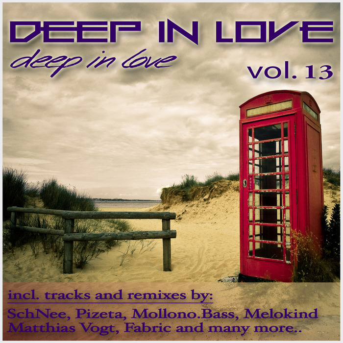 VARIOUS - Deep In Love Vol 13