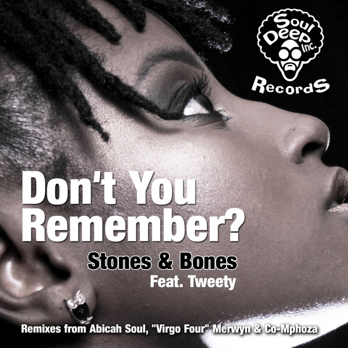 STONES & BONES feat TWEETY - Don't You Remember (remixes)