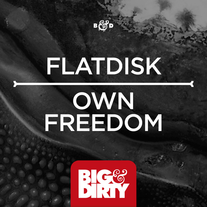 FLATDISK - Own Freedom