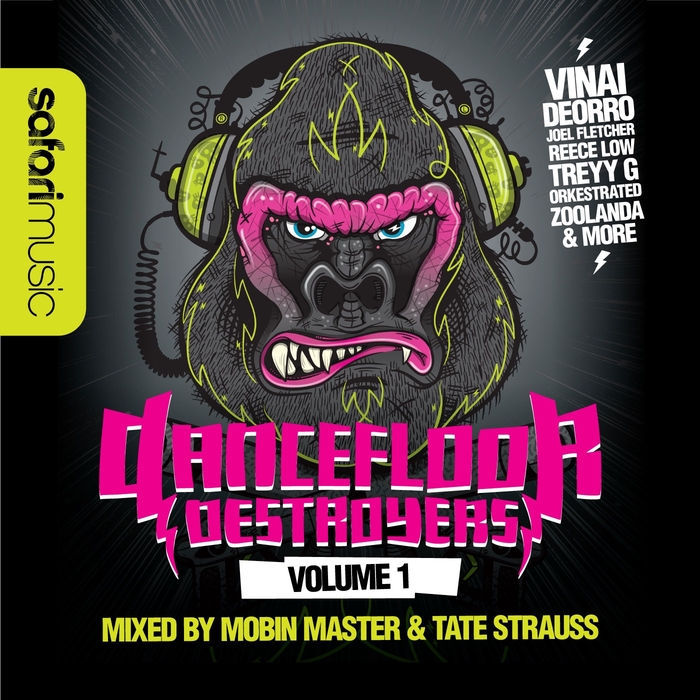 MOBIN MASTER/TATE STRAUSS/VARIOUS - Dancefloor Destroyers Volume 1 (unmixed tracks)