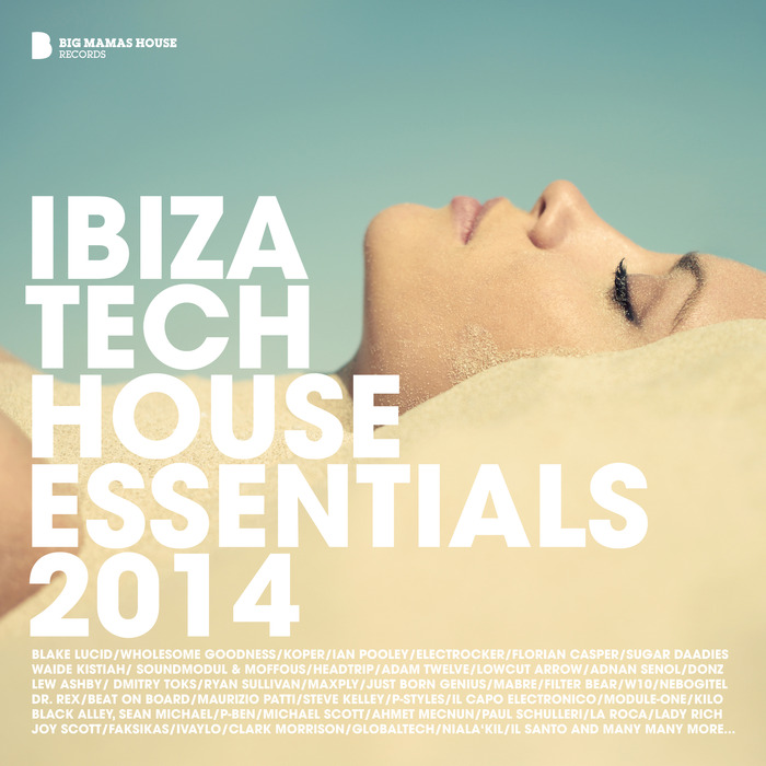 VARIOUS - Ibiza Tech House Essentials 2014 (deluxe version)