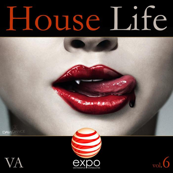 VARIOUS - House Life Vol 6