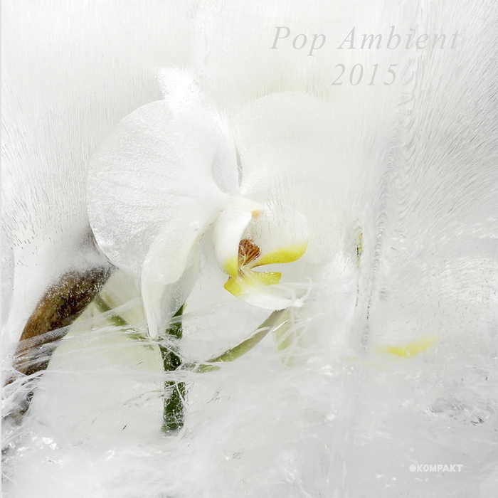 VARIOUS - Pop Ambient 2015