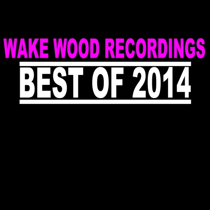 GRAGOURI, Bilel/ALEXANDER BEN/DJ ALEX TN - Best Of Wake Wood 2014 Vol 1