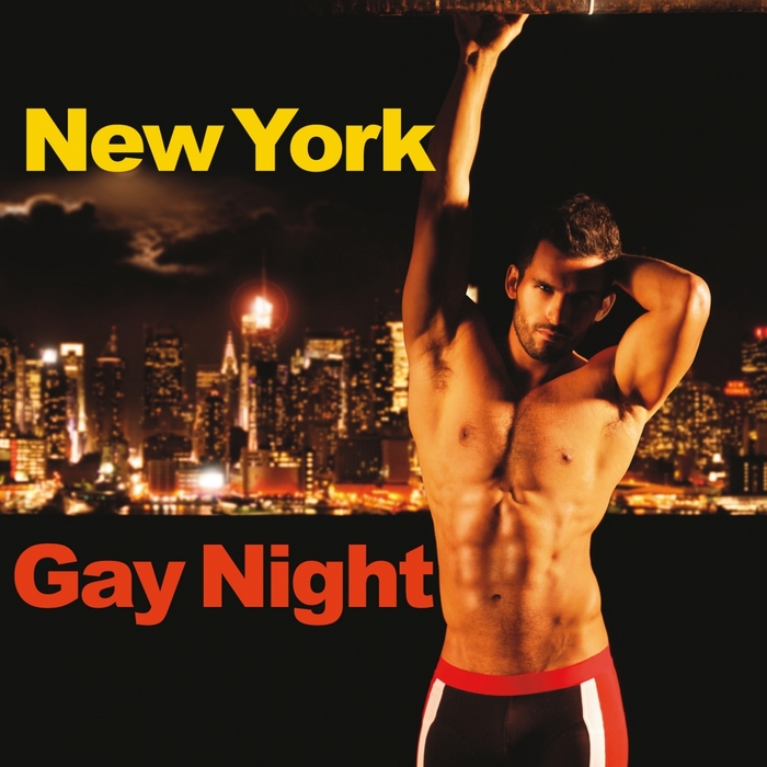 VARIOUS - New York Gay Night