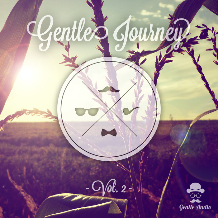 VARIOUS - Gentles Journey Vol 2