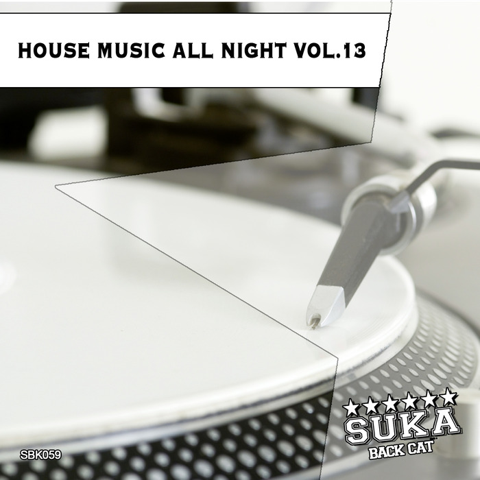 VARIOUS - House Music All Night Vol 13