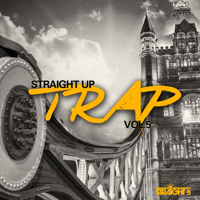 VARIOUS - Straight Up Trap Vol 5