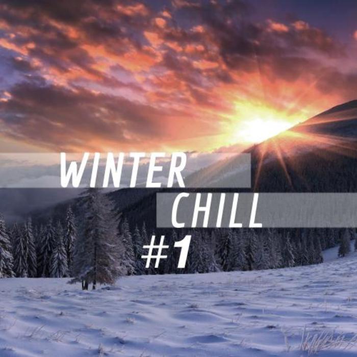 VARIOUS - Winter Chill 1