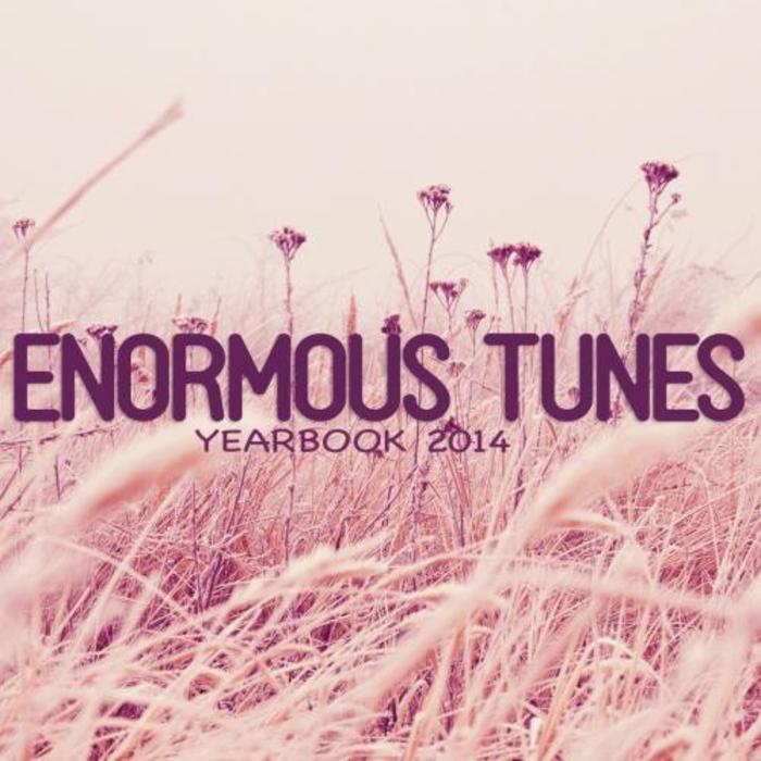 VARIOUS - Enormous Tunes: Yearbook 2014