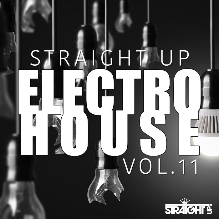 VARIOUS - Straight Up Electro House Vol 11