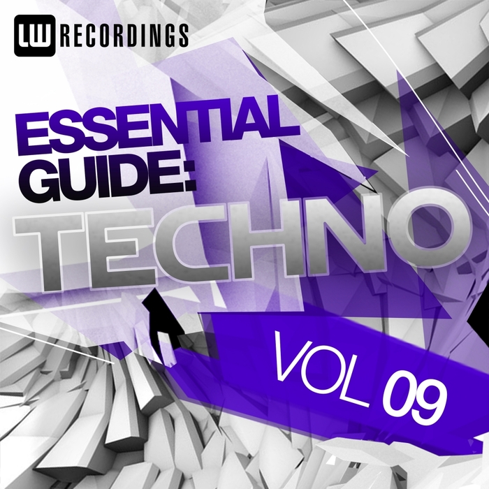 VARIOUS - Essential Guide Techno Vol 09