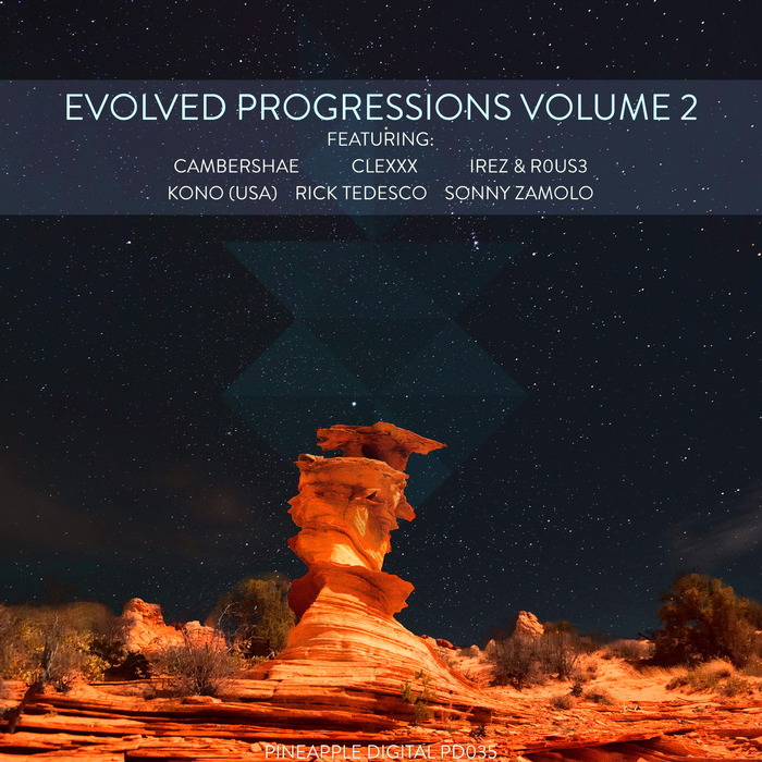 CAMBERSHAE/CLEXXX/KONO (USA)/RICK TEDESCO/R0US3/IREZ/SONNY ZAMOLO - Evolved Progressions Volume 2
