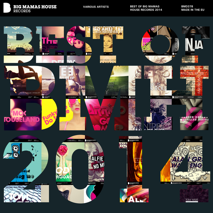 PATTI, Maurizio/VARIOUS - Best Of Big Mamas House Records 2014 (Deluxe Version)