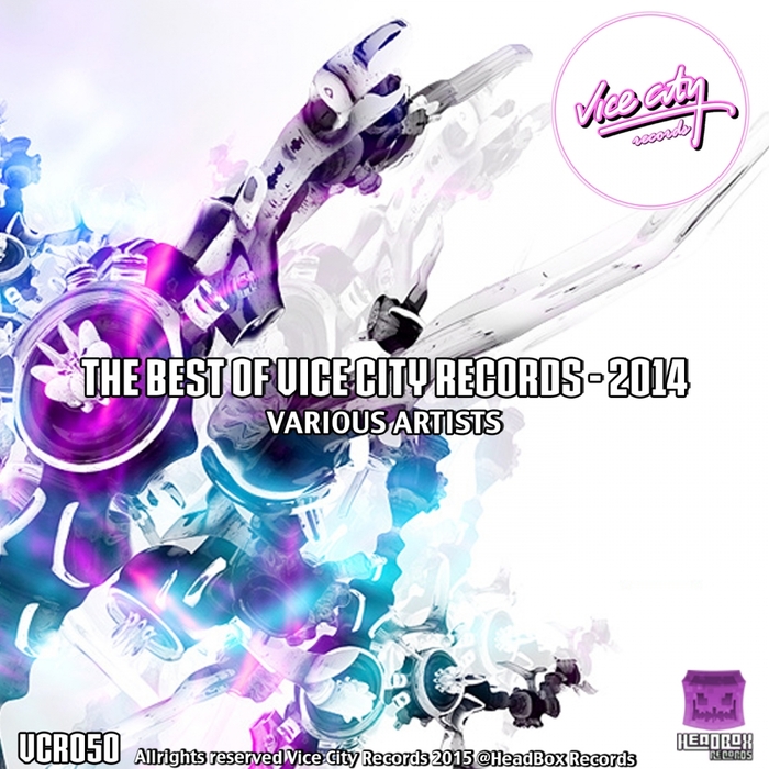 VARIOUS - The Best Of Vice City Records 2014